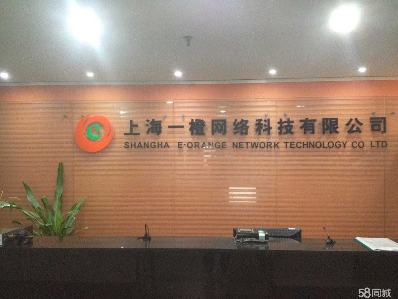 上海一橙网络与上海科技网络 区别、联系与选择指南